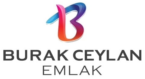 logo (4)